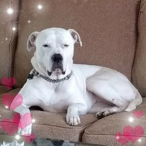 Meet your Posher, Judith